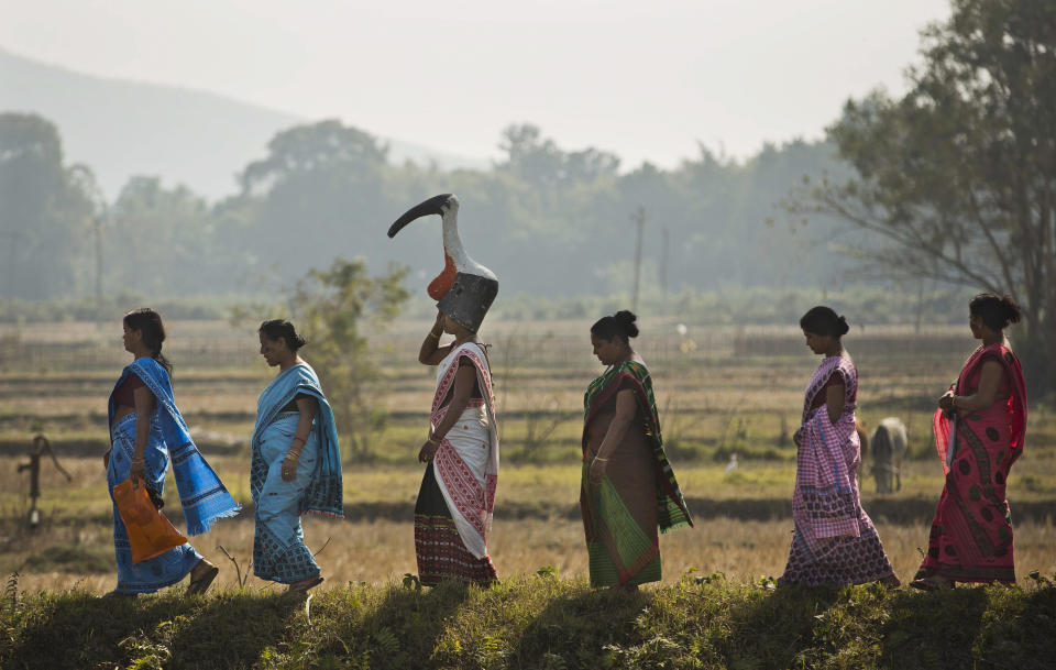 FILE - In this Feb. 4, 2017 file photo, a group of women from the "hargila army" walk to attend an awareness meeting on protecting the Greater Adjutant Stork in Dadara village, west of Gauhati, India. For decades the big and awkward looking carnivore and scavenging bird was the object of revulsion in its home in northeast India until a group of women took it upon themselves to save the endangered bird. (AP Photo/Anupam Nath, File)