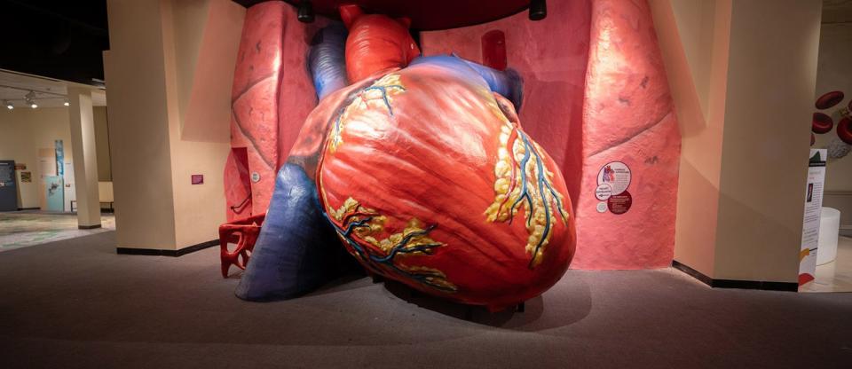The "Giant Heart" walkthrough display at the Franklin Institute in Philadelphia will temporarily close on Monday, May 6, as the institute prepares for the installation of a new human body exhibit in the fall.