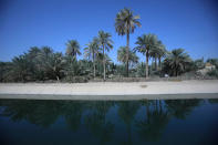 Date palm trees are seen at a farm, in Kerbala, Iraq, October 14, 2017. REUTERS/Abdullah Dhiaa Al-deen/Files