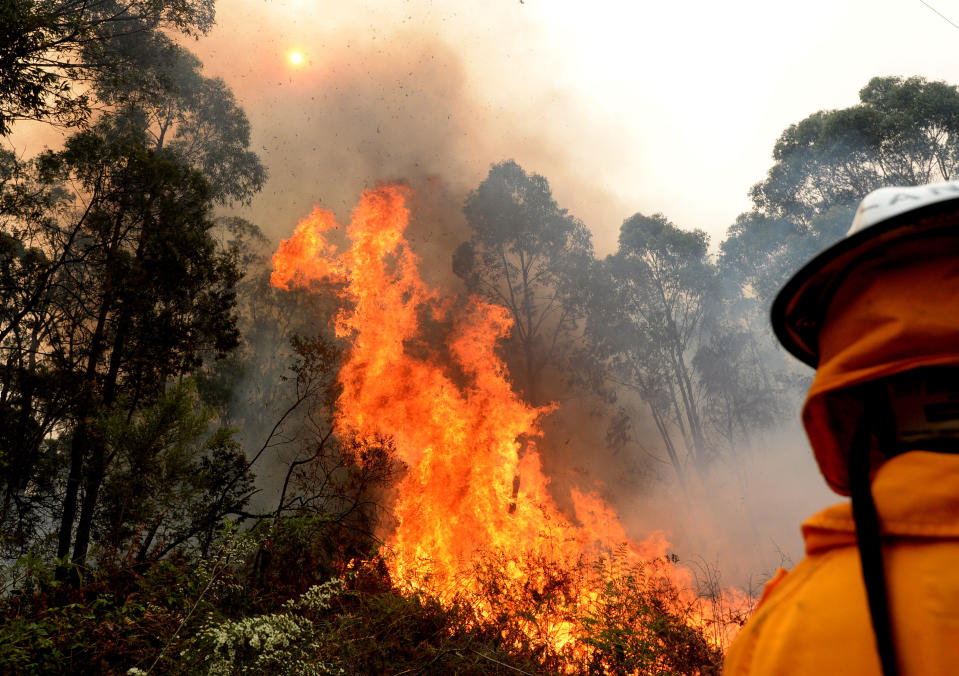 Firefighters backburn along Putty Road in Colo Heights in Sydney on Saturday.