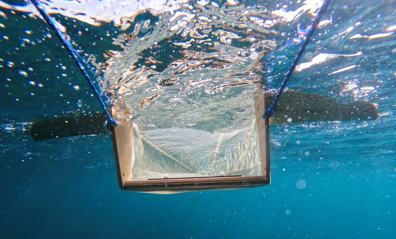 Una red de arrastre es arrastrada por voluntarios que reman un kayak durante un proyecto de investigación "Surfing for Science" de la Universidad de Barcelona para evaluar la contaminación por microplásticos en el litoral, en la Punta del Cros en Llanca, cerca de Figueres, España