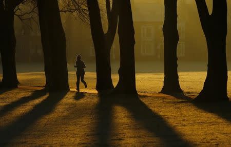 A woman runs through Victoria Park at sunrise in Leicester, central England, December 30, 2014. REUTERS/Darren Staples