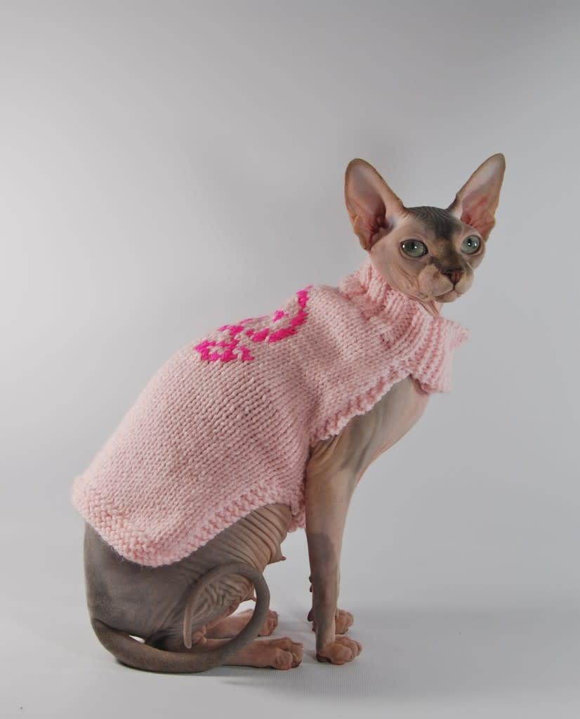 Cozy Sphinx Sweater