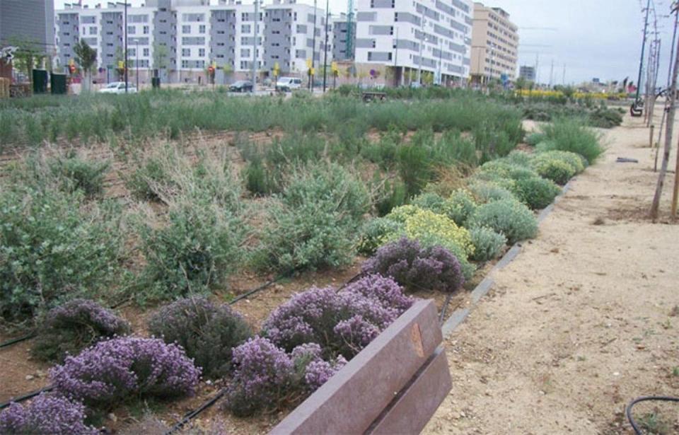 Ejemplo de xerojardinería en Valdespartera (Zaragoza) un tipo de jardín con bajo consumo de agua adecuado para climas secos. <a href="http://urban-e.aq.upm.es/articulos/ver/ecociudad-valdespartera-zaragoza/completo" rel="nofollow noopener" target="_blank" data-ylk="slk:UPM" class="link ">UPM</a>