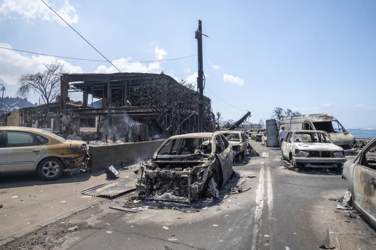 El paso del fuego dejó escenas desoladoras