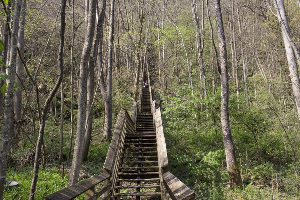 <div class="inline-image__title">1313770002</div> <div class="inline-image__caption"><p>Steep steps lead to the abandoned coal mining town of Kaymoor One. Mine is now overgrown with forest and part of America's newest National Park, April 7, 2021, in New River Gorge National Park, West Virginia.</p></div> <div class="inline-image__credit">Andrew Lichtenstein/Corbis via Getty Images</div>