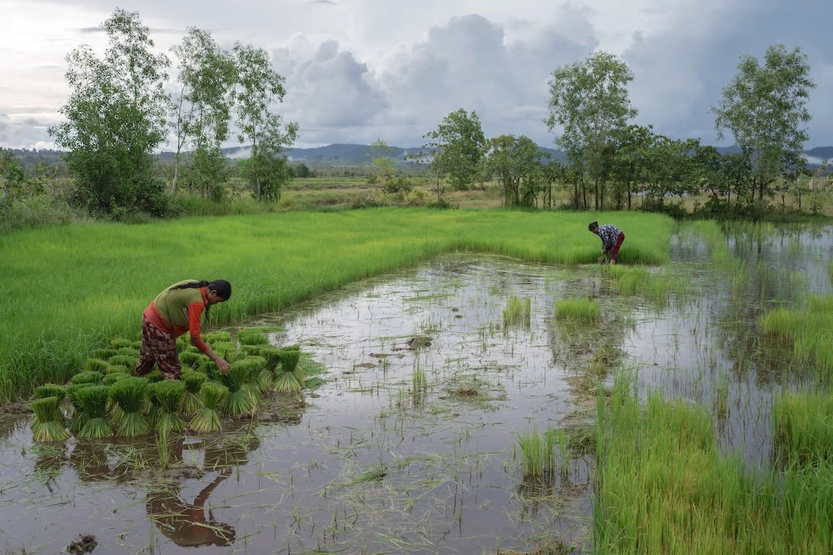 A village in the Southern Cardamom carbon offset project in Cambodia. Human Rights Watch