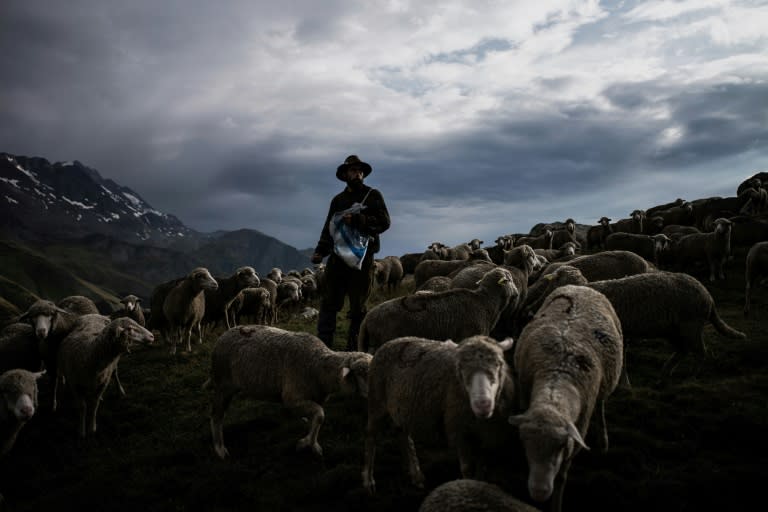 Shepherd Gaetan Meme has just finished his third season of transhumance in the French Alps, or the tradition of guiding livestock up into the alpine pastures to graze and staying with them