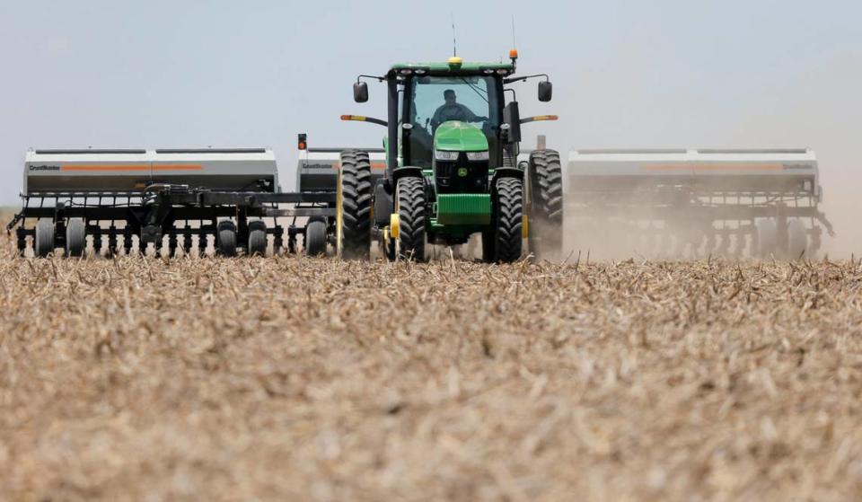 Brant Peterson, shown in 2015, planted sorghum on his farm in Stanton County, Kansas.