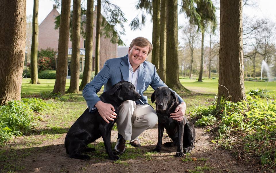 König Willem-Alexander von den Niederlanden ließ zu seinem 50. Geburtstag am 27. April ein ganz besonders Bild veröffentlichen. Es zeigt ihn und seine zwei süßen Labradore. (Bild-Copyright: Het Koninklijk Huis/Facebook)