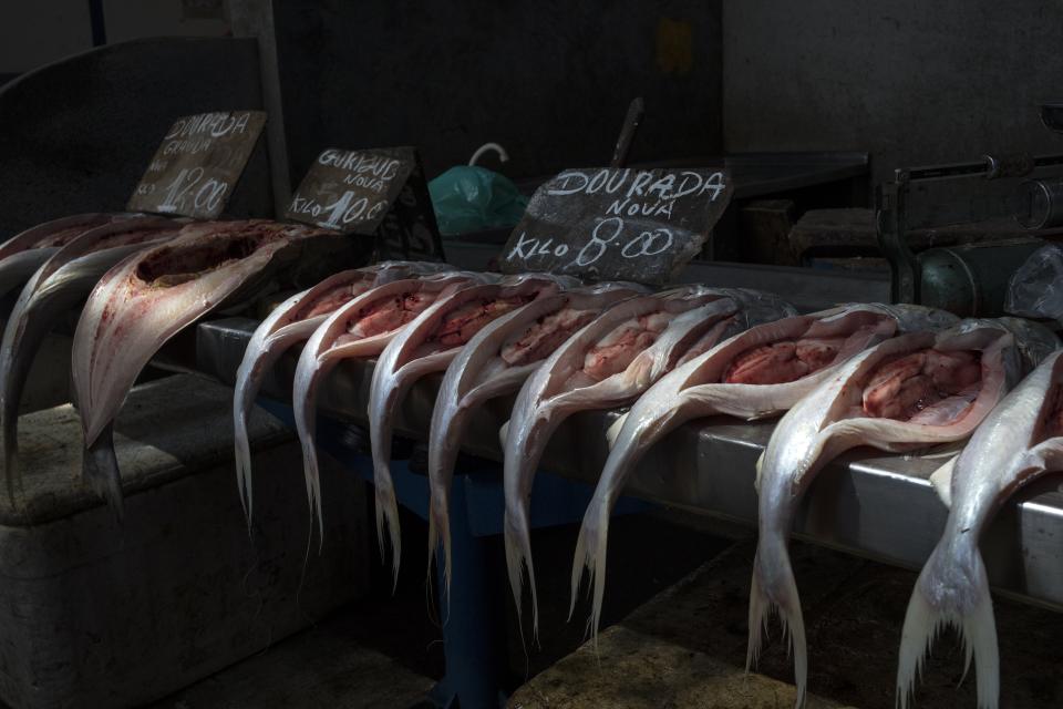 In this Sept. 1, 2019 photo, fish are displayed for customers inside the Ver-o-Peso riverside market in Belém, Brazil. The Ver-o-Peso market includes docks, the acai fair, a meat market and a fish market. (AP Photo/Rodrigo Abd)