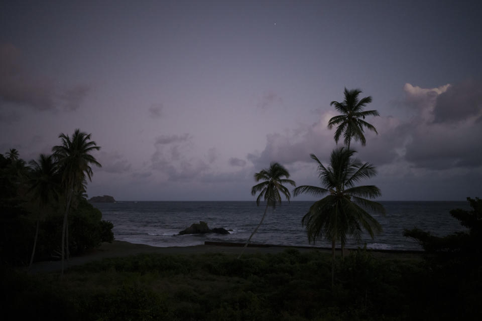 Palm trees line the beach on the Caribbean island of Tobago, Trinidad and Tobago, Friday, Jan. 21, 2022. (AP Photo/Felipe Dana)