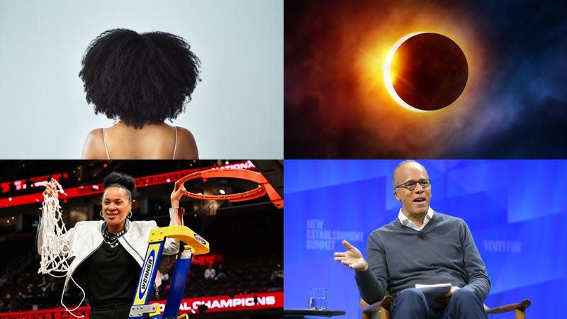 Photo: Delmaine Donson (Getty Images), Vibe Images (Shutterstock), Thien-An Truong (Getty Images), Matt Winkelmeyer (Getty Images), Adrián Monroy/Medios y Media (Getty Images), Gregory Shamus (Getty Images), Negin Minaei (Shutterstock)