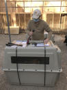 This Jan. 15, 2021 image provided by the ABQ BioPark shows an endangered Mexican gray wolf being secured in a transport crate at the zoo in Albuquerque, N.M. A pack of wolves was sent from the zoo to Mexico where they will eventually be released as part of conservation efforts in that country. (ABQ BioPark via AP)