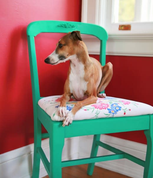 <div class="caption-credit"> Photo by: My So Called Crafty Life</div><b>Thrift Chair Makeover</b> <br> Give an old chair a facelift with a fresh coat of paint. You'll save money on the chair so you can get all the colors of the rainbow to decorate it with! <br> <i>Get the tutorial at <a rel="nofollow noopener" href="http://www.mysocalledcraftylife.com/2013/08/20/diy-thrift-store-chair-makeover/" target="_blank" data-ylk="slk:My So Called Crafty Life" class="link ">My So Called Crafty Life</a></i>