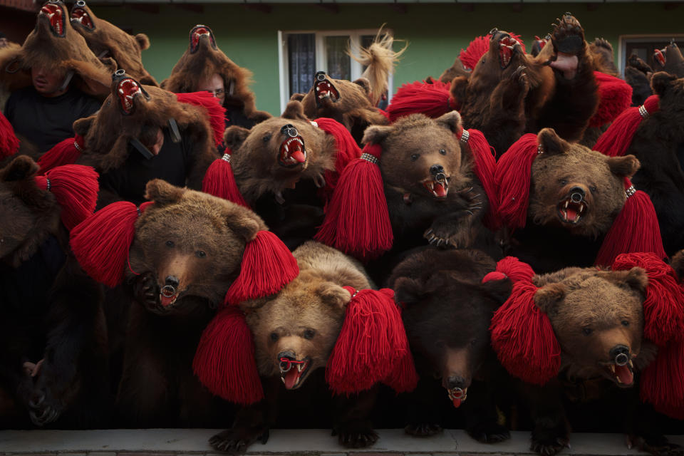 Integrantes de la manada de osos Sipoteni realizan una pose final tras su actuación en Preluci, en el norte de Rumanía, el 26 de diciembre de 2023, mientras recorren distintas localidades para el tradicional ritual del baile del oso. Hace siglos, quienes vivían en lo que ahora es el noreste de Rumanía se cubrían con pieles de oso y bailaban para ahuyentar a los malos espíritus. Esa costumbre es conocida hoy en día como el Festival del Baile del Oso, que cada diciembre atrae a multitud de turistas. (AP Foto/Vadim Ghirda)