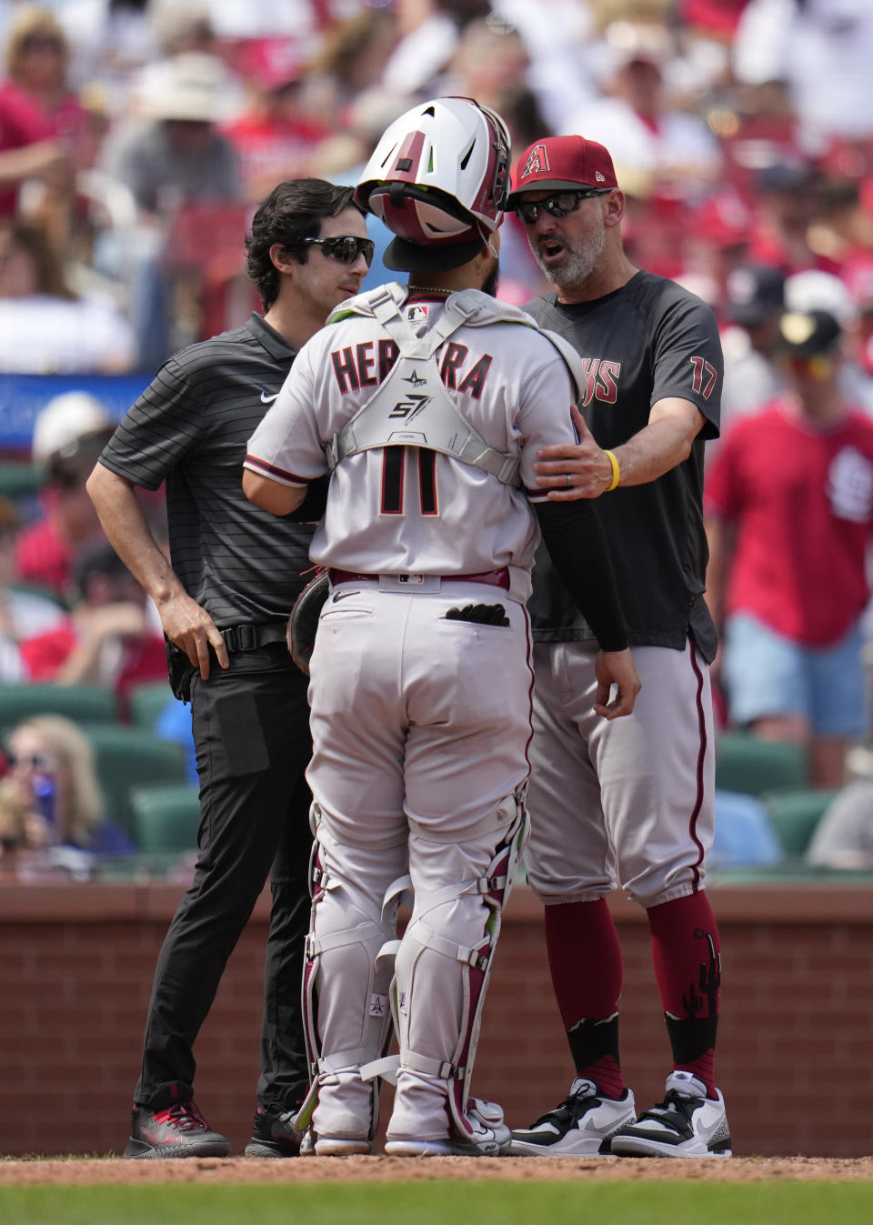 Arizona Diamondbacks catcher Jose Herrera (11) is checked on by Arizona Diamondbacks manager Torey Lovullo, right, and a trainer after taking a foul ball off his mask during the sixth inning of a baseball game against the St. Louis Cardinals Wednesday, April 19, 2023, in St. Louis. Herrera left the game. (AP Photo/Jeff Roberson)