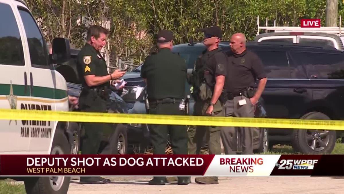 Deputy shot during dog attack while serving search warrant in West Palm