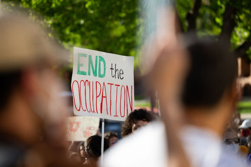 Pro Palestine Rally_MN_06 .JPG