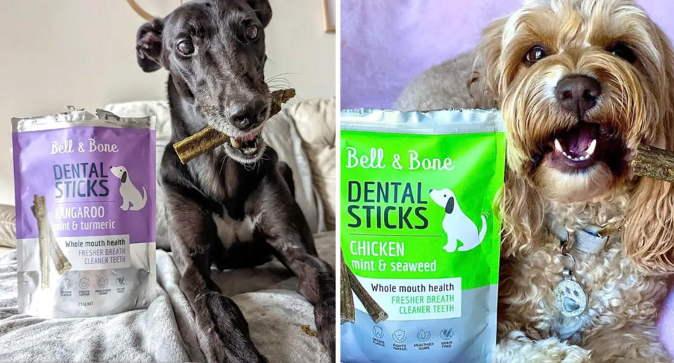 Dogs with Bell & Bone dental sticks