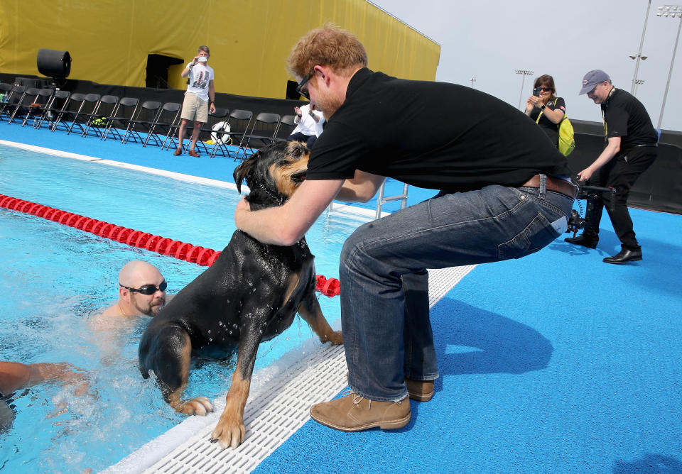 When he helped this service dog out of the pool.