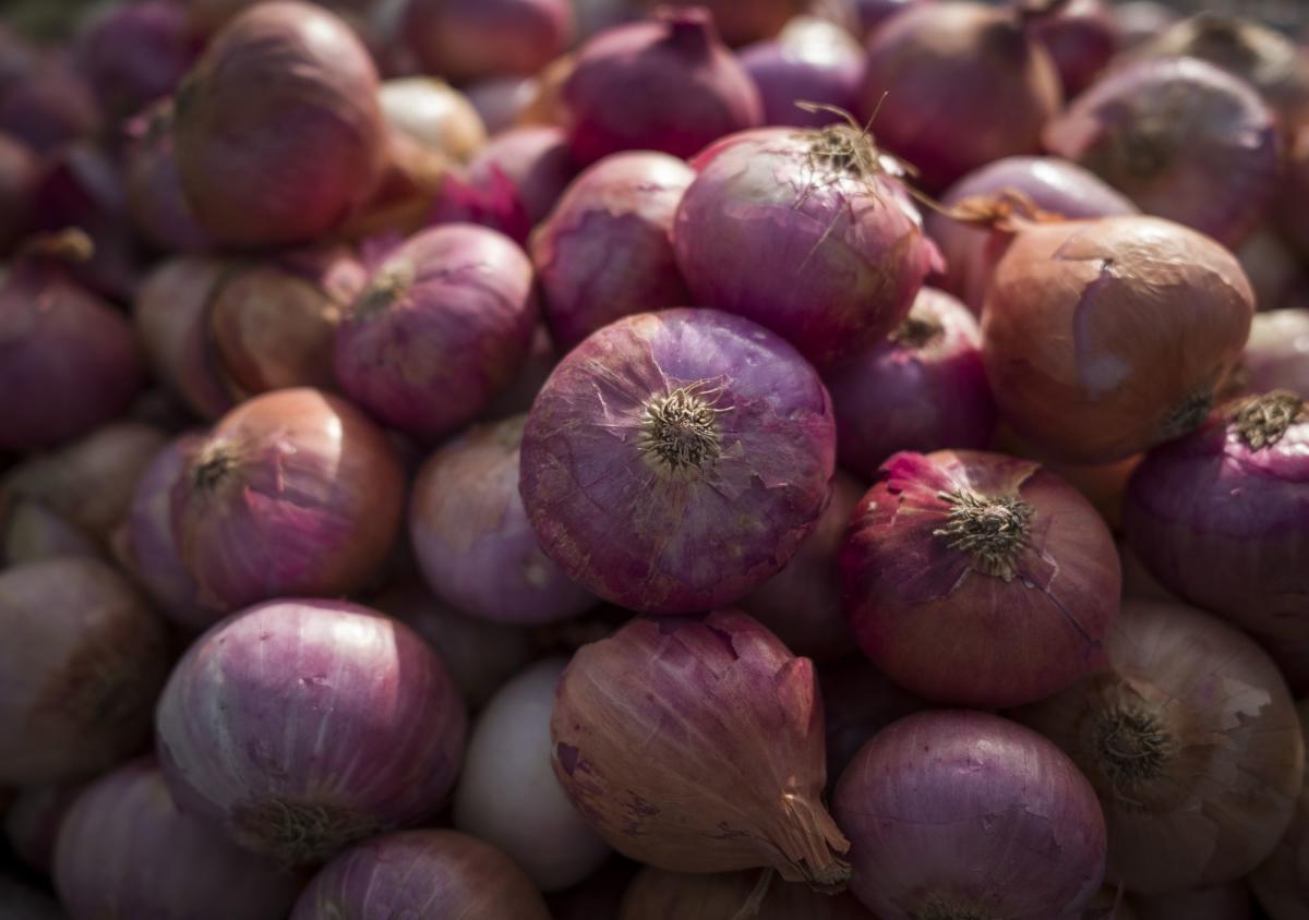 Philippines Eyes Onion Imports as Price Tops Chicken, Beef Filipino