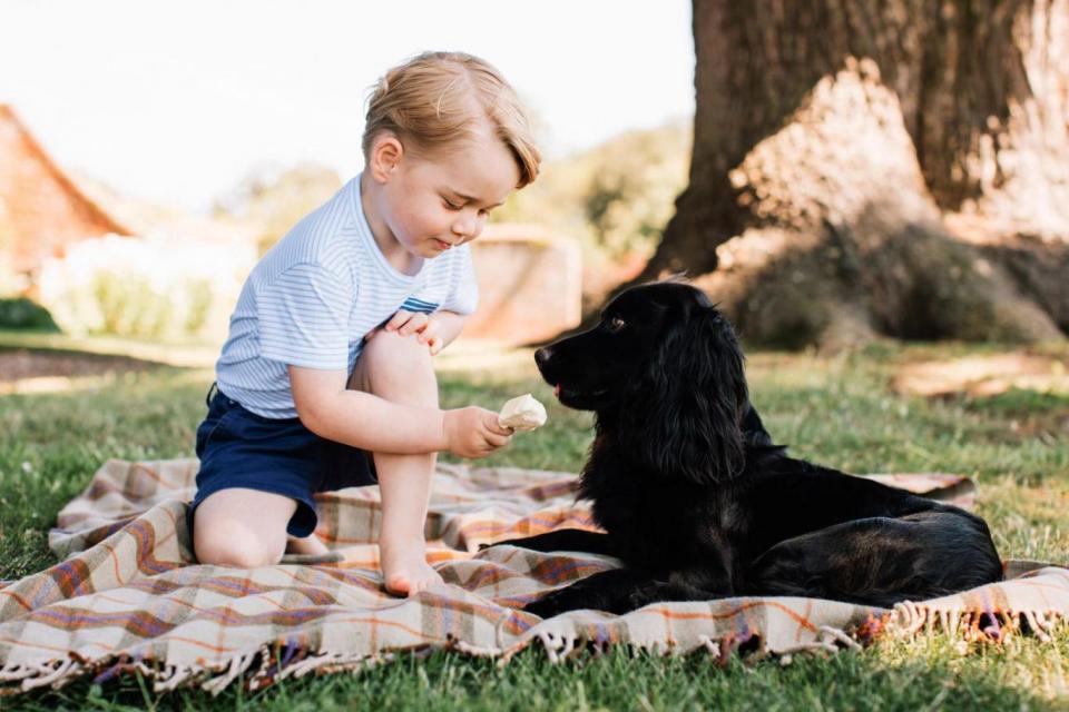 (Matt Porteous/Duke and Duchess of Cambridge)