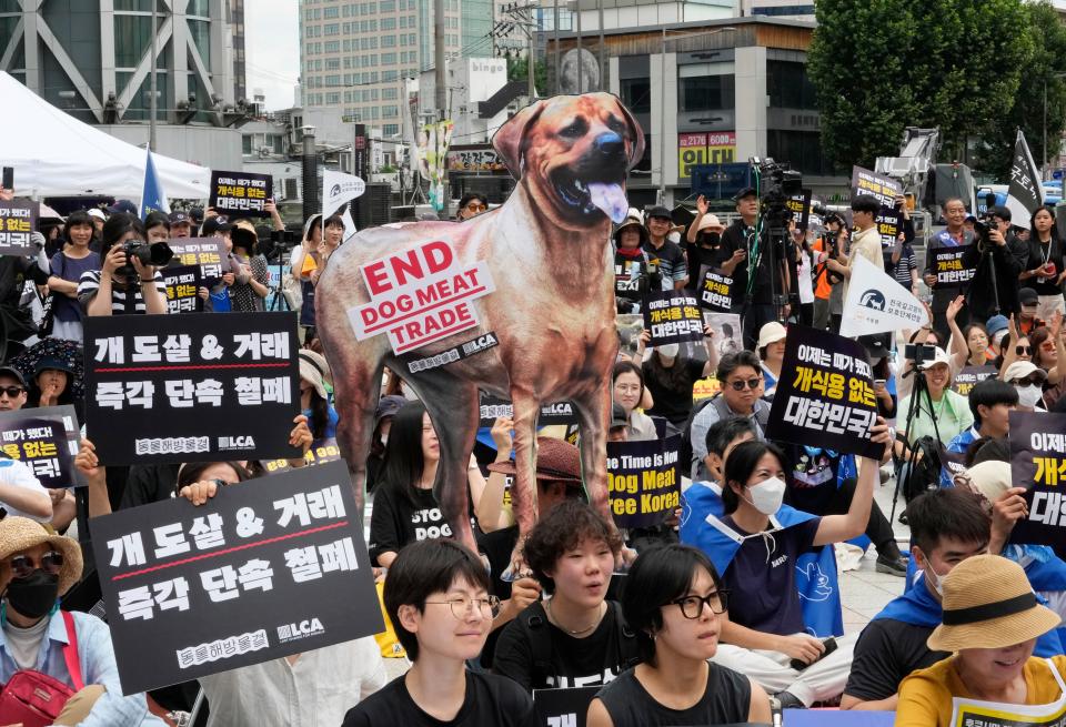 Animal rights activists stage a rally opposing South Korea's traditional culture of eating dog meat in Seoul, South Korea on July 8, 2023.