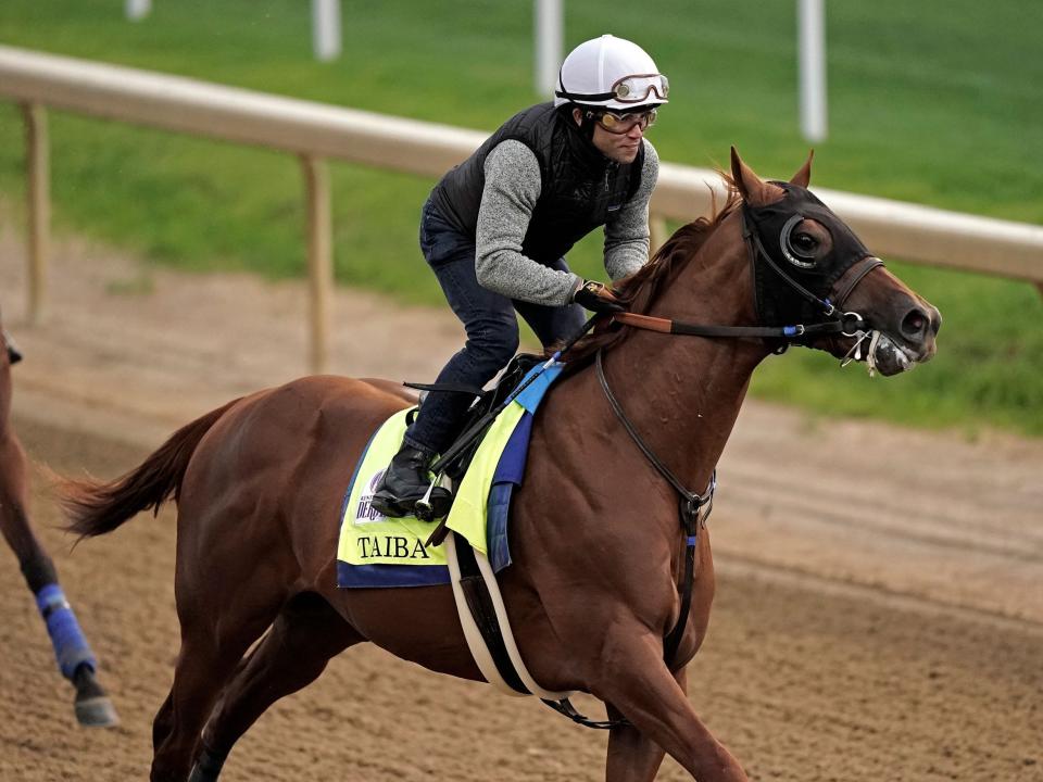 Kentucky Derby entrant Taiba works out at Churchill Downs.