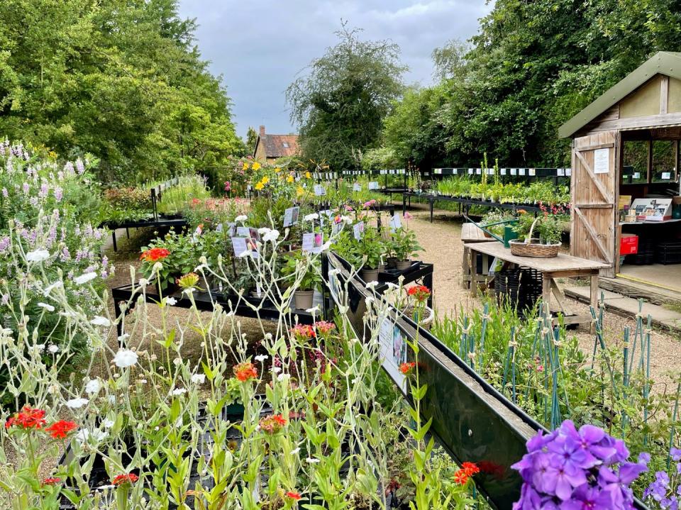 east lambrook manor with famous cottage gardens for sale in somerset