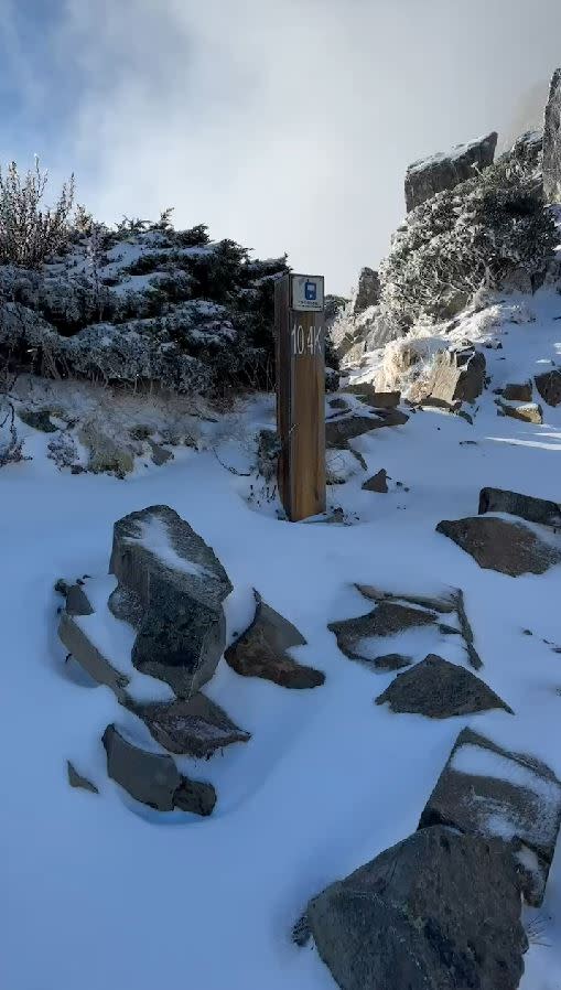 雪山6日上午開始飄雪，直到7日上午積雪還有10公分。(圖／雪霸國家公園管理處提供)