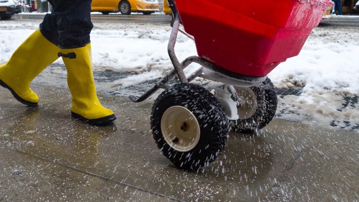 worker spreading salt on icy sidewalk