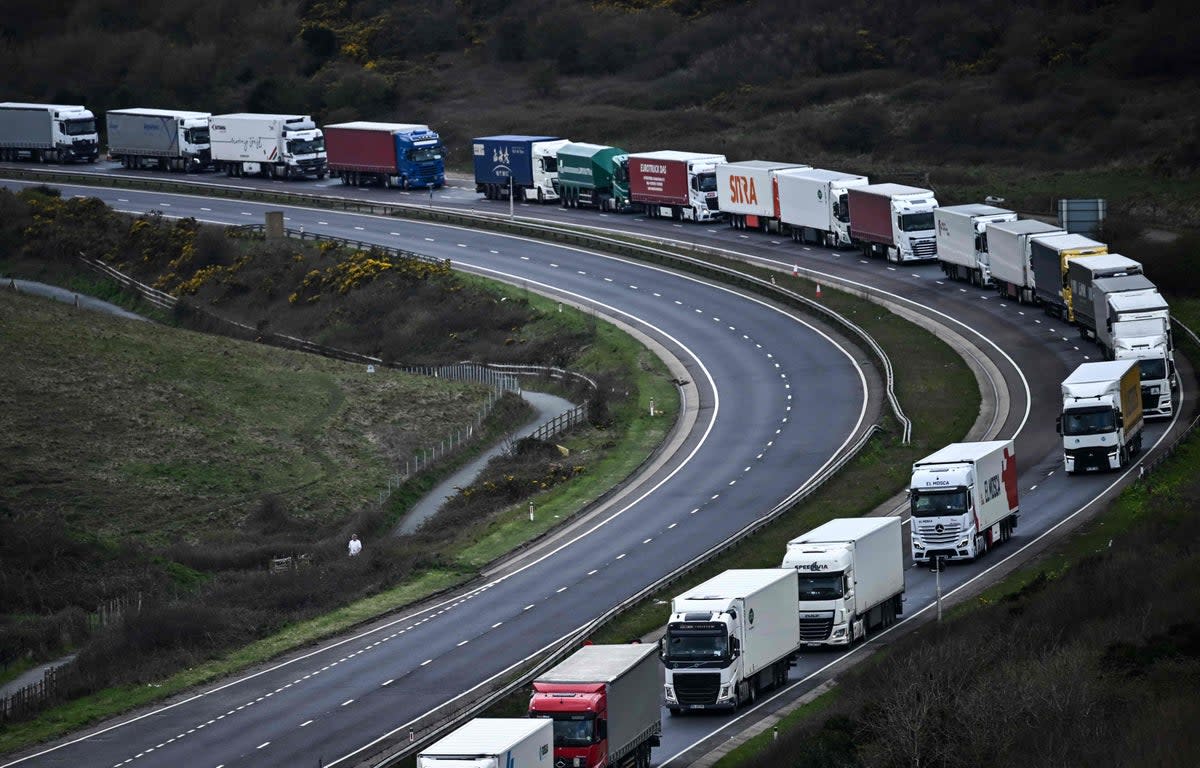 Freight lorries, HGVs (heavy goods vehicles) and cars queue on the A20 road towards the Port of Dover in April earlier this year  (AFP/Getty)