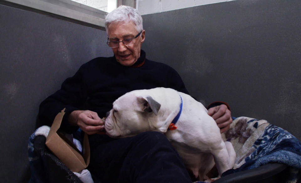 Paul O'Grady with a very nervous and shy Bulldog he calls Dottie. (ITV)
