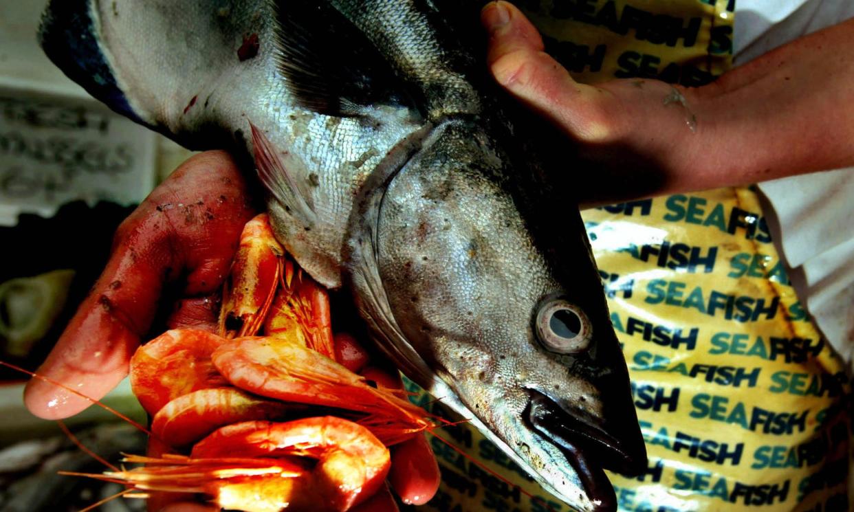 <span>A North Sea coley and some Atlantic prawns. Eighty per cent of the seafood eaten in the UK is cod, haddock, salmon, tuna and prawns.</span><span>Photograph: Jeff J Mitchell/Reuters</span>