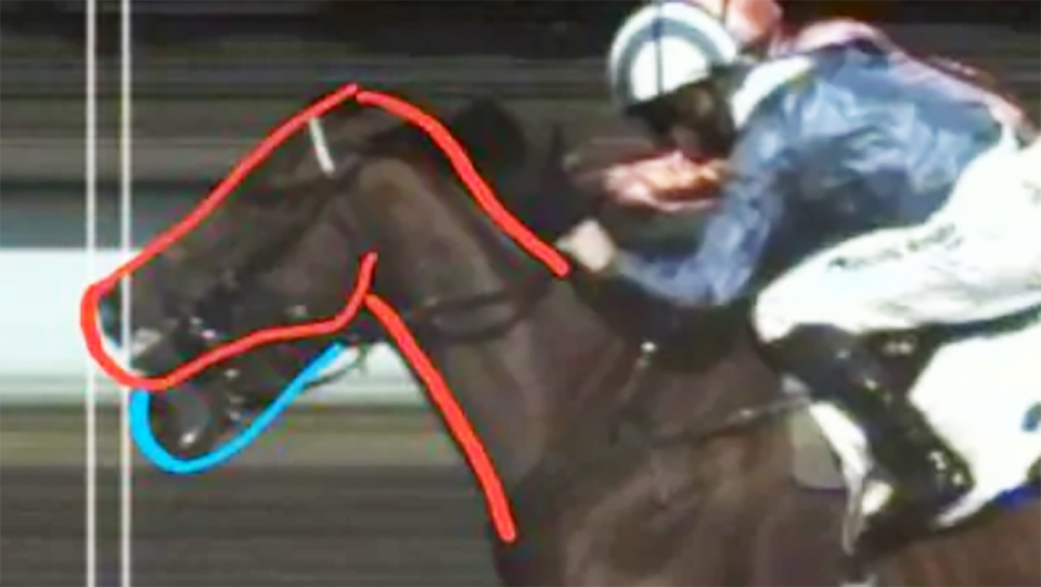 Albadr (red outline), pictured here in a photo that reveals the actual winner.