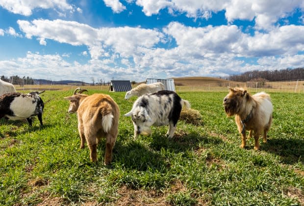 Regenerative farming represents one of the best opportunities for fashion to engage with climate change mitigation.