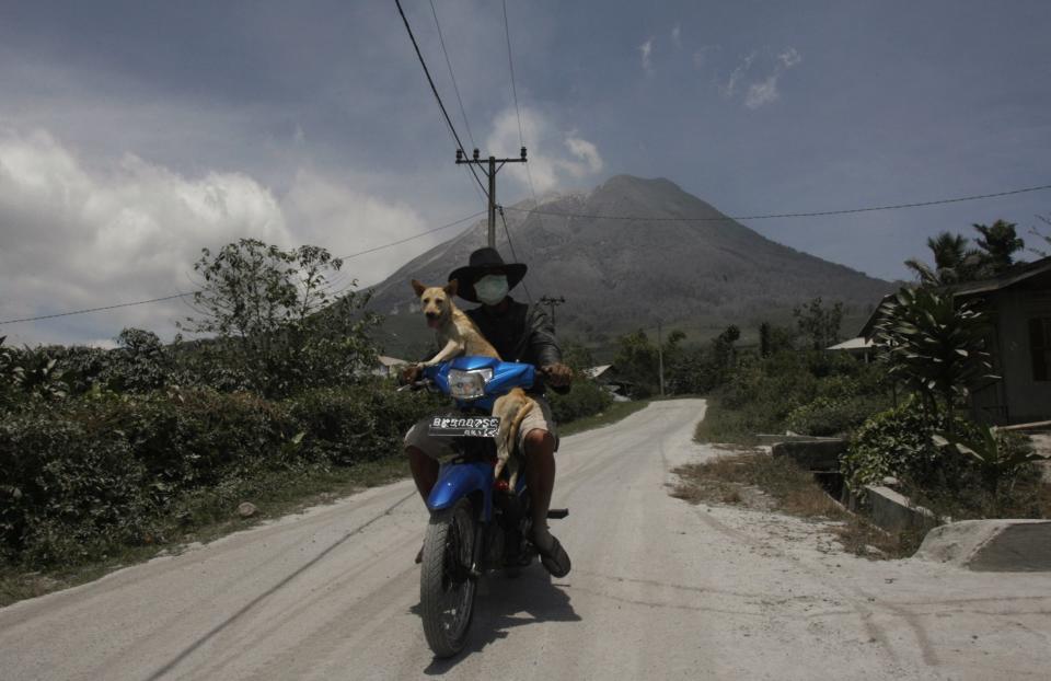 Villager rides with his dog on a motorcycle down a road covered with ash after Mount Sinabung volcano erupted at Simalem village in Karo district, Indonesia's North Sumatra province