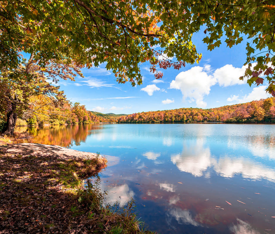 <p>Chansak Joe/Getty Imges</p><p>If you love Asheville, try Boone for a second serving of <a href="https://www.blueridgeparkway.org/" rel="nofollow noopener" target="_blank" data-ylk="slk:Blue Ridge Parkway;elm:context_link;itc:0;sec:content-canvas" class="link ">Blue Ridge Parkway</a> beauty. Home to 18,000 students at Appalachian State University, Boone has all the biking, climbing, hiking, and skiing you and the local collegiate crowd require—plus live bluegrass music, great coffee shops, and exactly the sort of beer specials you’d hope for and expect in a happening mountain college town with zero attitude. While here, learn about Appalachian history at<a href="https://www.horninthewest.com/" rel="nofollow noopener" target="_blank" data-ylk="slk:Horn of the West;elm:context_link;itc:0;sec:content-canvas" class="link "> Horn of the West</a> and hike the technical <a href="https://www.alltrails.com/trail/us/north-carolina/daniel-boone-scout-trail-to-calloway-peak" rel="nofollow noopener" target="_blank" data-ylk="slk:Daniel Boone Scout Trail;elm:context_link;itc:0;sec:content-canvas" class="link ">Daniel Boone Scout Trail</a> that summits at Calloway Peak on Grandfather Mountain and involves some ladders and cables along the way.</p><p><strong>When to Visit:</strong> The fall, when the Blue Ridge Parkway explodes with fall colors.</p><p><strong>What to Do:</strong> <a href="https://www.exploreboone.com/things-to-do/attractions/rocky-knob-park/" rel="nofollow noopener" target="_blank" data-ylk="slk:Rocky Knob Mountain Bike Park;elm:context_link;itc:0;sec:content-canvas" class="link ">Rocky Knob Mountain Bike Park</a> boasts five trails of varying difficulty. If you feel like stretching your legs out, hike to Flat Top Tower, through the <a href="https://www.nps.gov/blri/planyourvisit/moses-h-cone-memorial-park-mp-294.htm" rel="nofollow noopener" target="_blank" data-ylk="slk:Moses Cone Memorial Park;elm:context_link;itc:0;sec:content-canvas" class="link ">Moses Cone Memorial Park</a>. The hike starts in the parking lot of the Cone Memorial and ends up at a fire tower (<a href="https://www.hikingupward.com/NCSP/FlatTopTower/" rel="nofollow noopener" target="_blank" data-ylk="slk:Flat Top Tower;elm:context_link;itc:0;sec:content-canvas" class="link ">Flat Top Tower</a>) with 360-degree views of the Blue Ridge Mountains.</p><p><strong>Where to Stay:</strong> Find restored A-frames and glass treehouses on <a href="https://www.airbnb.com/" rel="nofollow noopener" target="_blank" data-ylk="slk:Airbnb;elm:context_link;itc:0;sec:content-canvas" class="link ">Airbnb</a>. Or, stay downtown and close to campus at <a href="https://thehorton.com/rooms/" rel="nofollow noopener" target="_blank" data-ylk="slk:The Horton Hotel;elm:context_link;itc:0;sec:content-canvas" class="link ">The Horton Hotel</a>, which has a rooftop bar with a fire sphere and blankets for crisp fall nights.</p><p><strong>Where to Eat:</strong> <a href="https://thecardinalboone.com/" rel="nofollow noopener" target="_blank" data-ylk="slk:The Cardinal;elm:context_link;itc:0;sec:content-canvas" class="link ">The Cardinal</a> reinforces the mountain theme in its A-frame building, anchored by a stone fireplace. The restaurant is known for its gourmet burgers, and also serves snacks like vegan tempeh fingers and pimento cheese dip. <a href="https://propermeal.com/" rel="nofollow noopener" target="_blank" data-ylk="slk:Proper;elm:context_link;itc:0;sec:content-canvas" class="link ">Proper</a> is a solid choice for Southern dishes like fried catfish. Nerd out over craft beer at <a href="https://www.amb.beer/" rel="nofollow noopener" target="_blank" data-ylk="slk:Appalachian Mountain Brewery;elm:context_link;itc:0;sec:content-canvas" class="link ">Appalachian Mountain Brewery</a> where brewers will share recipes for baked goods like stout brownies and apple cider donuts.</p>