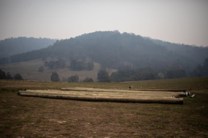 The Wider Image: From Australian bushfire ashes, a community rises in solidarity