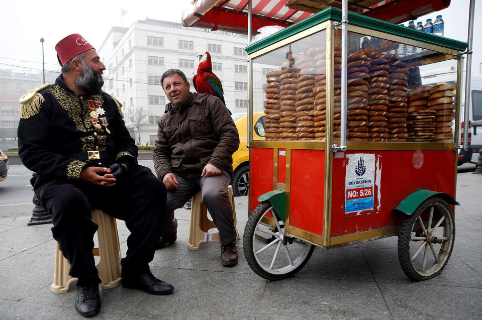 Life with a parrot in Istanbul