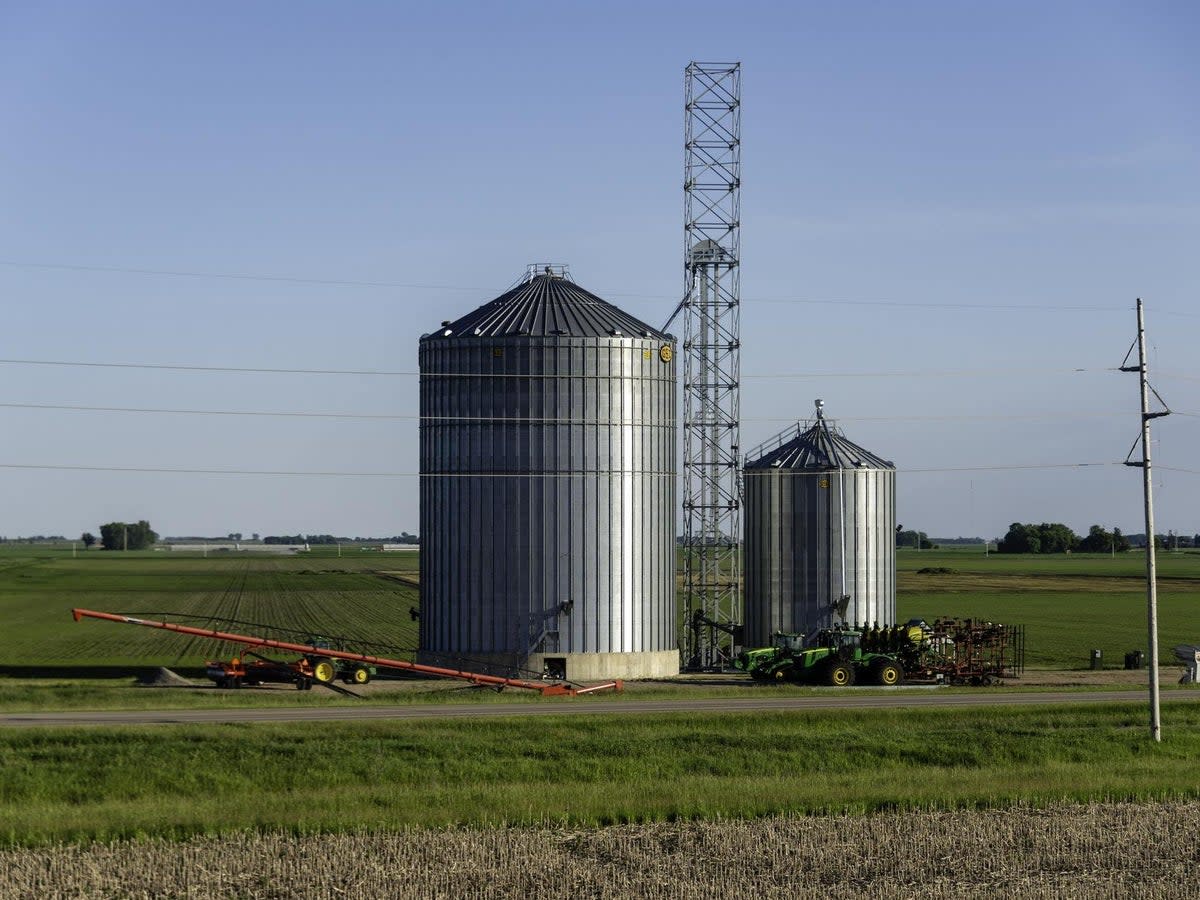 Occupational Safety and Health Administration says that working in grain handling is a ‘high-hazard industry’  (Getty Images)