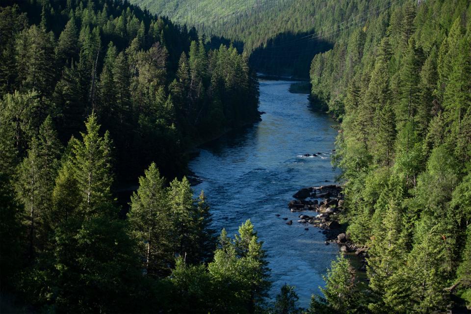 The South Fork Flathead River flows downstream of Hungry Horse Dam toward Hungry Horse, Mont., on June 17, 2021.