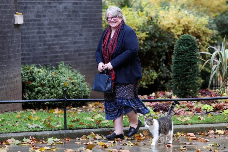 Former environment secretary Therese Coffey (REUTERS)