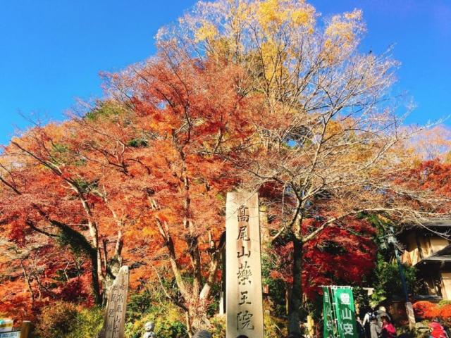 秋季賞楓去！東京近郊「高尾山」楓紅一日遊