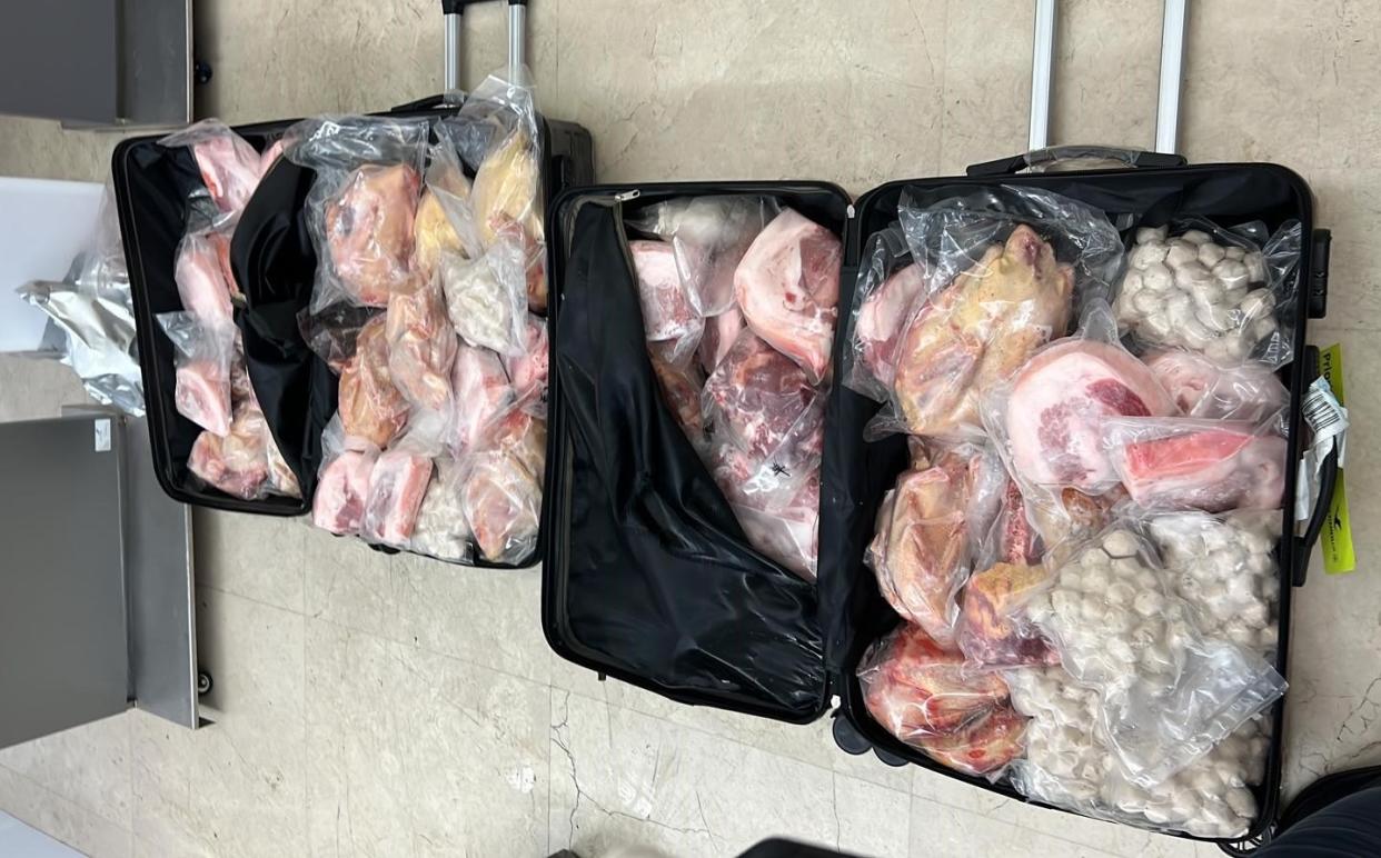 A traveller from China was fined $17,500 after he was caught with 226kg of meat in luggage at Changi Airport. (PHOTO: Singapore Food Agency/Facebook)