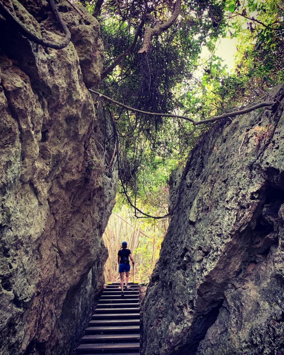 ▲南部過年走春景點推薦-高雄柴山步道。 （圖／d8030328, Instagram）