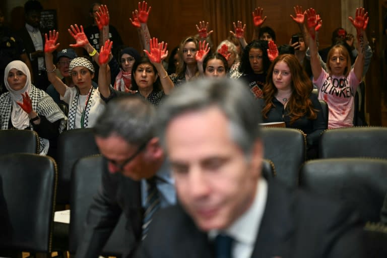 Pro-Palestinian demonstrators hold up painted hands in protest as US Secretary of State Antony Blinken testifies before a Senate Appropriations subcommittee (Jim WATSON)