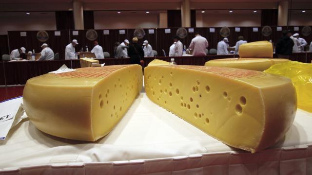 Why Does Swiss Cheese Have Holes?