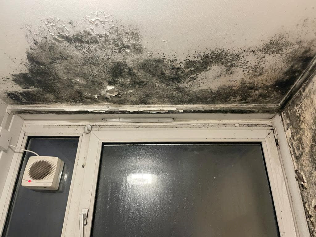 The mould in Terri Harrigan's home. See SWNS story SWNJmould. A mum has said she’s “scared her three-year-old daughter might die” after discovering black mould in her home.  Terri Harrigan, 31, first found the mould after peeling back her wallpaper - shortly after moving in December 2019.  She claims a member of Hackney Council “only painted over” the mould after she put in a complaint - rather than cleaning it, as she’d requested.  Terri’s daughter, Ariealla, has been “sick most of her life” as a direct result of the mould in their home. She now has to use a salbutamol inhaler every day. 
